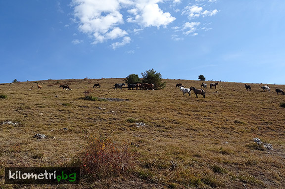 On the path to Murgash Peak, The Balkans
