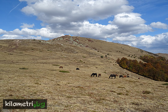 Връх "Мургаш", пл. Стара планина
